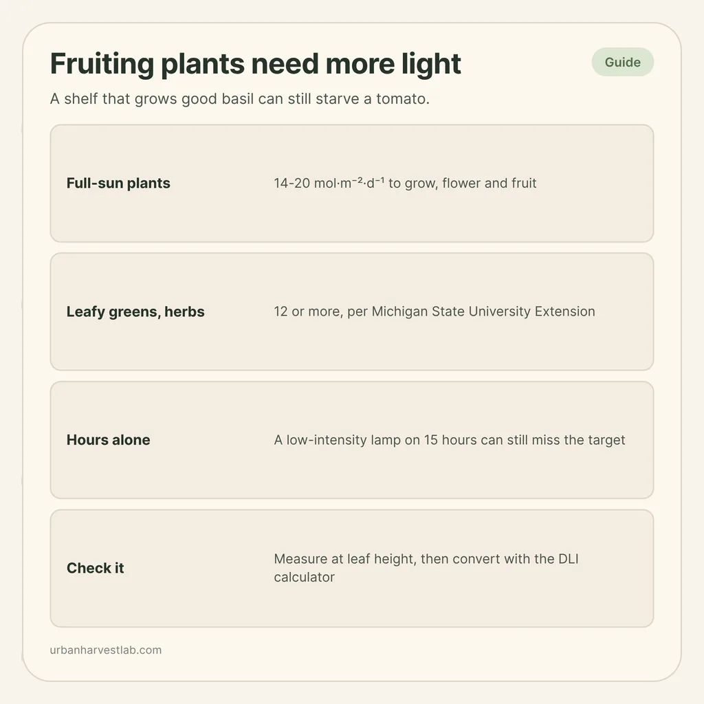 Infographic card: "Fruiting plants need more light" with rows for full-sun plants, leafy greens, hours and measuring