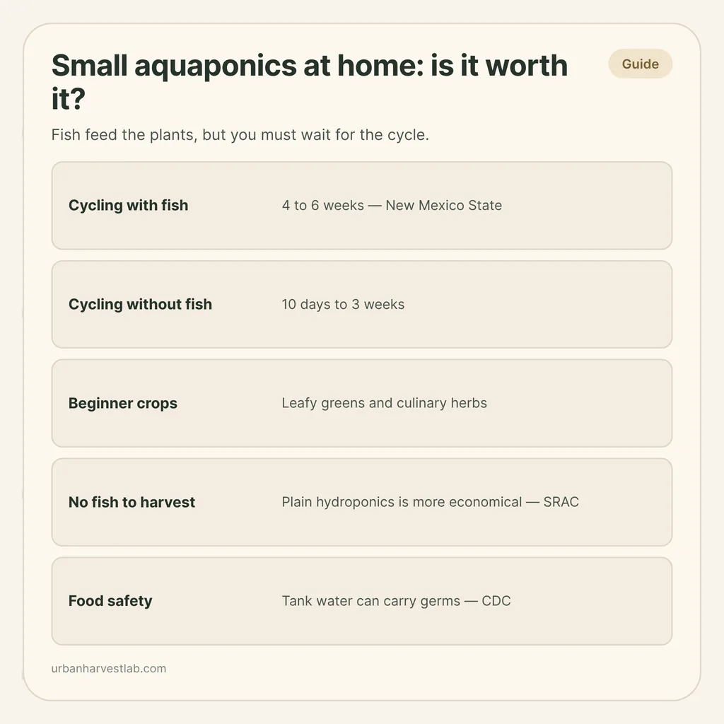 Infographic card: "Small aquaponics at home: is it worth it?" with rows for cycling time, beginner crops, when plain hydroponics is better, and food safety