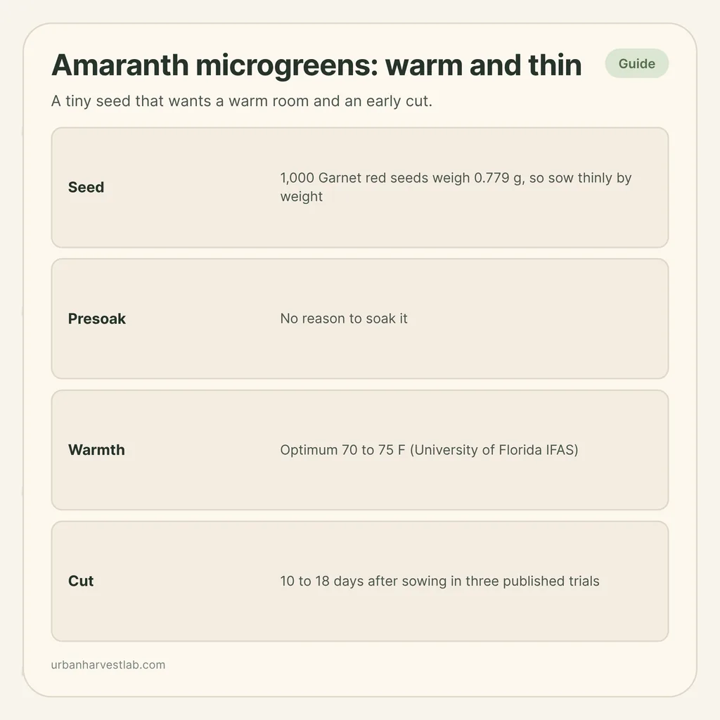 Infographic card: "Amaranth microgreens: warm and thin" with rows for seed, presoak, warmth and cut