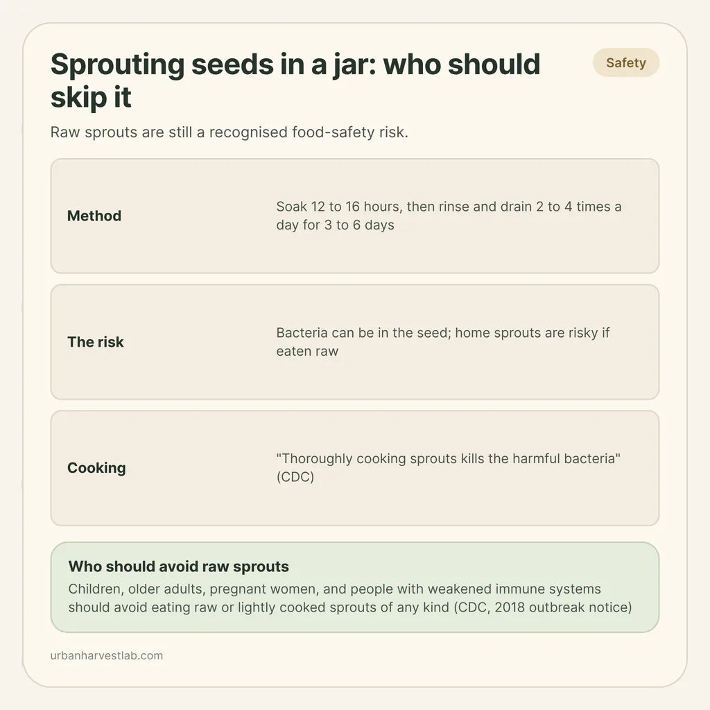 Infographic card: "Sprouting seeds in a jar: who should skip it" with rows for method, risk, cooking and who should avoid raw sprouts