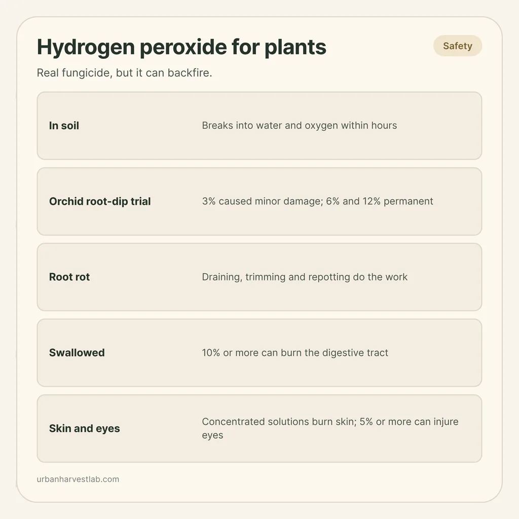 Infographic card: "Hydrogen peroxide for plants" with rows for soil breakdown, root dip trial, root rot, swallowing and skin and eye risks