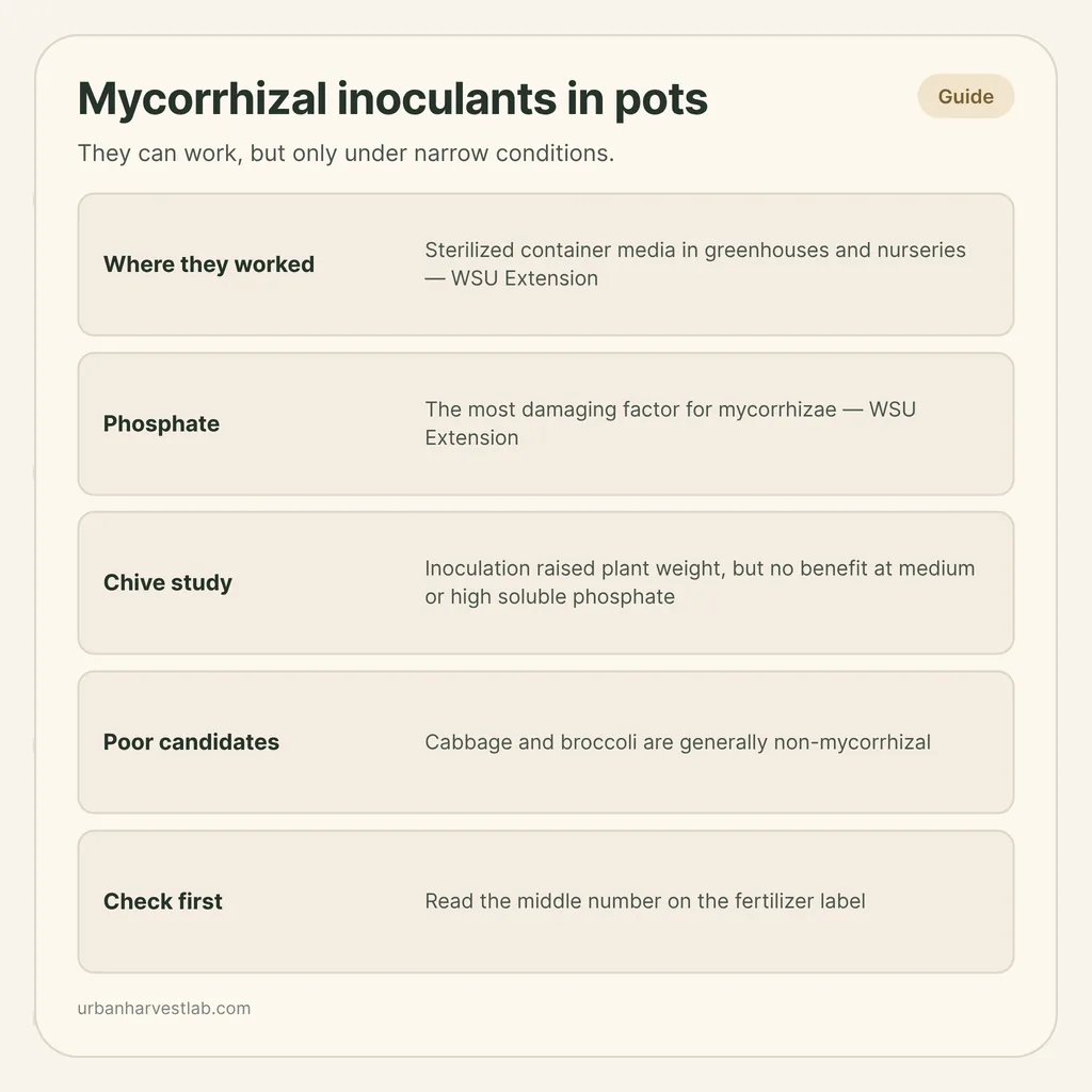 Infographic card: "Mycorrhizal inoculants in pots" with rows for where they worked, phosphate, a chive study, poor candidates and label check