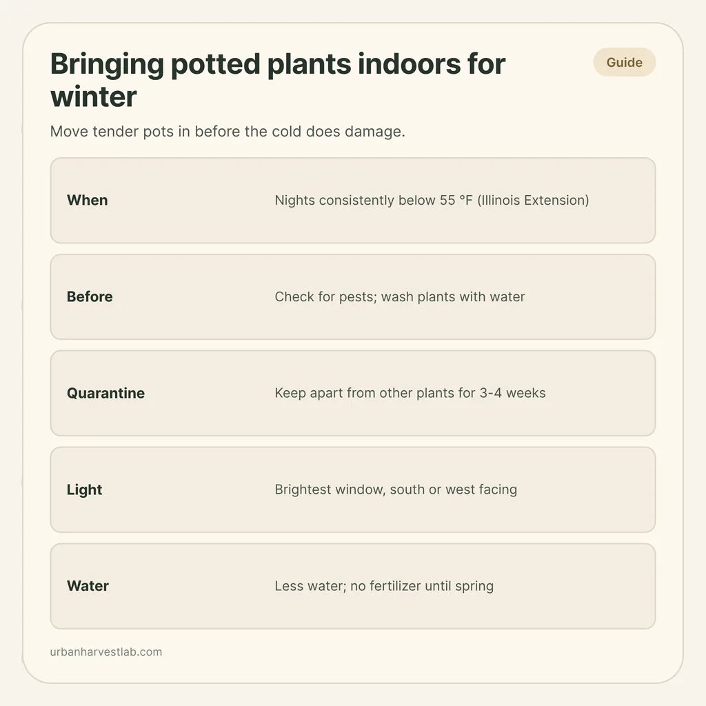 Infographic card: "Bringing potted plants indoors for winter" with rows for when to move, pest checks, quarantine, light and water