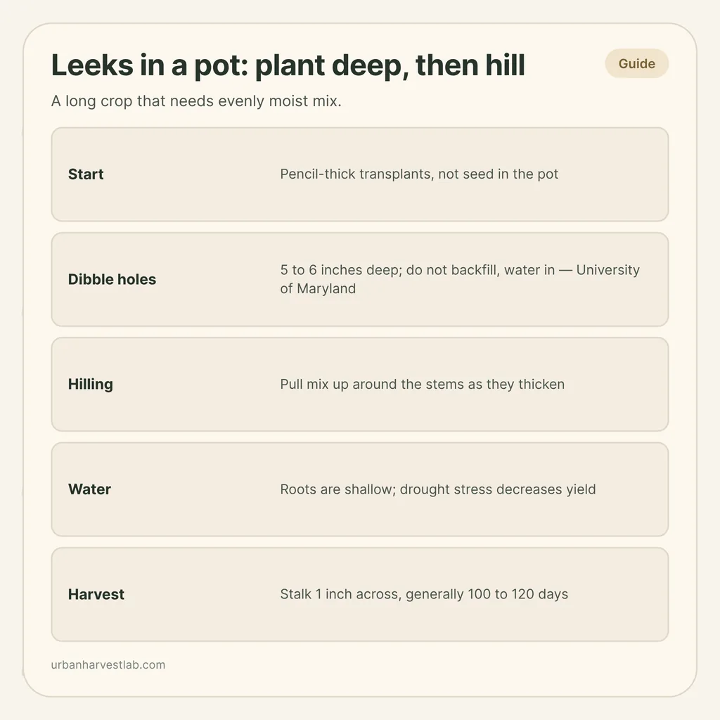 Infographic card: "Leeks in a pot: plant deep, then hill" with rows for planting, dibble holes, hilling, water and harvest