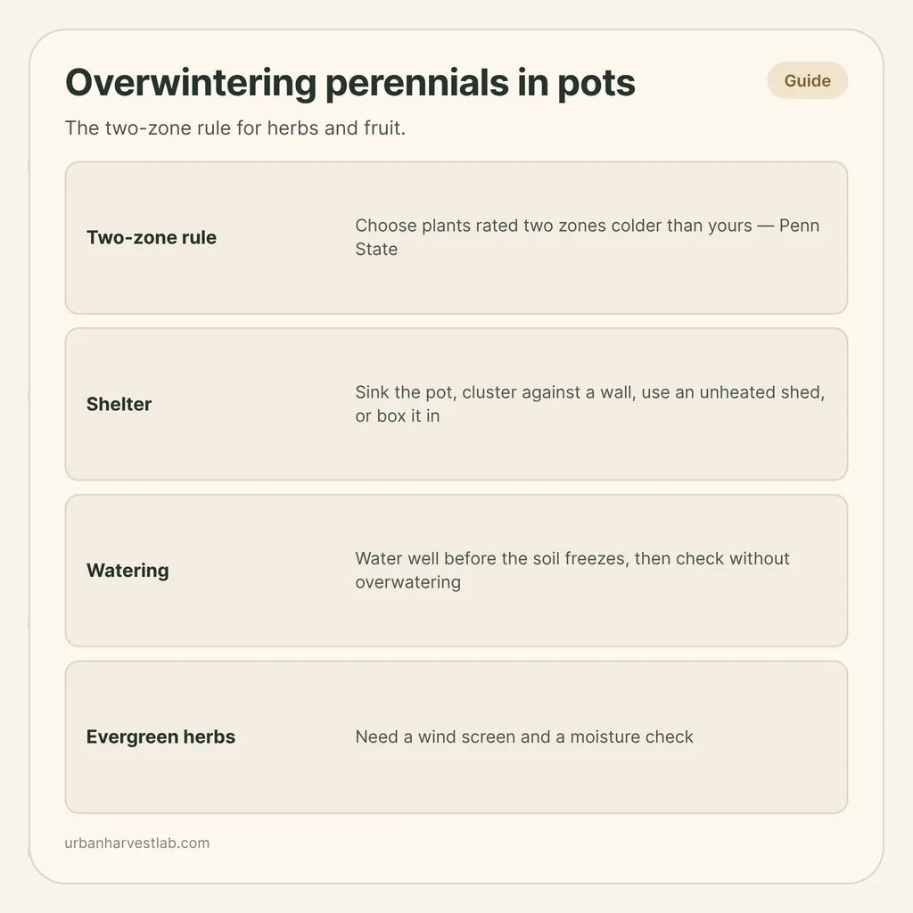 Infographic card: "Overwintering perennials in pots" with rows for the two-zone rule, shelter, watering and evergreen herbs