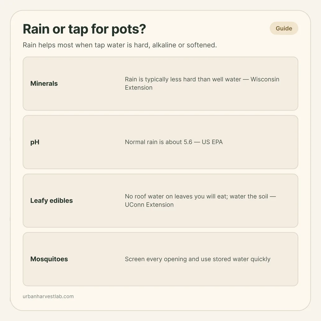 Infographic card: "Rain or tap for pots?" with rows for minerals, pH, leafy edibles and mosquitoes