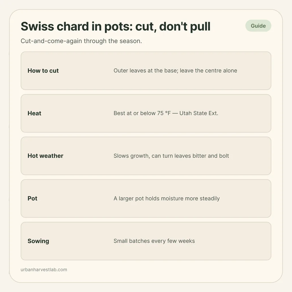 Infographic card: "Swiss chard in pots: cut, don't pull" with rows for cutting, heat, pot size and sowing